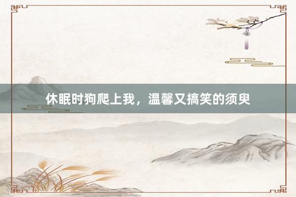 休眠时狗爬上我,温馨又搞笑的须臾