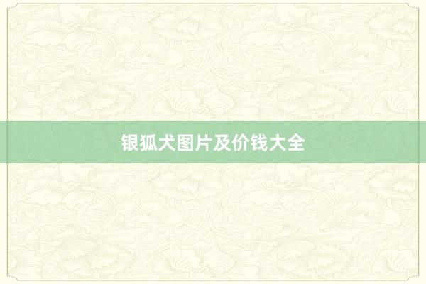 银狐犬图片及价钱大全